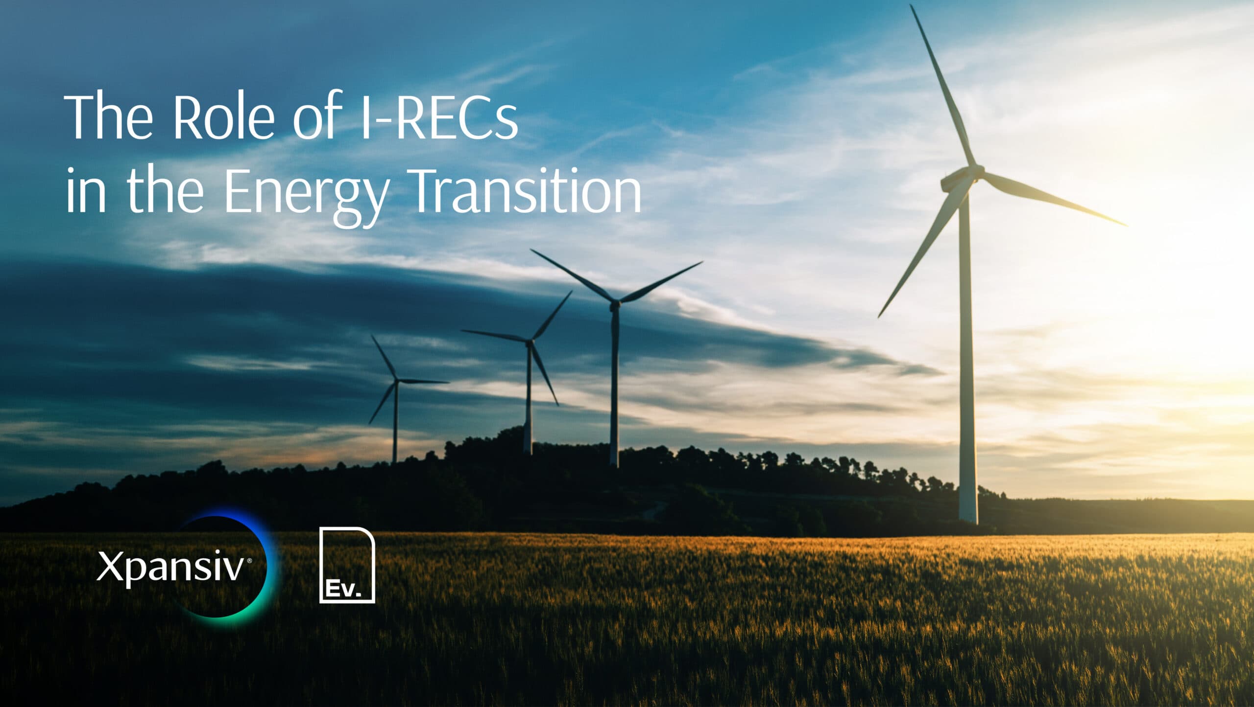 The Role of I-RECs in the Energy Transition